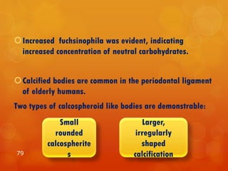 Increased fuchsinophila was evident, indicating
increased concentration of neutral carbohydrates.
Calcified bodies are common in the periodontal ligament
of elderly humans.
Two types of calcospheroid like bodies are demonstrable:
79
Larger,
irregularly
shaped
calcification
Small
rounded
calcospherite
s
 