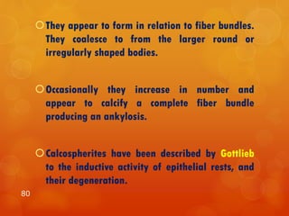They appear to form in relation to fiber bundles.
They coalesce to from the larger round or
irregularly shaped bodies.
Occasionally they increase in number and
appear to calcify a complete fiber bundle
producing an ankylosis.
Calcospherites have been described by Gottlieb
to the inductive activity of epithelial rests, and
their degeneration.
80
 