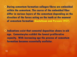 During cementum formation collagen fibres are embedded
within the cementum. The course of the embedded fiber
differ in various layers of the cementum depending on the
direction of the forces acting on the tooth at the moment
of cementum formation (Gustafsson and Persson 1957).
Indications exist that cemental deposition shows in old
age. Cementocytes exhibit the lowest proliferative
capacity. With increasing age the process of cementum
formation becomes essentially acellular.
91
 