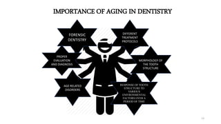 IMPORTANCE OF AGING IN DENTISTRY
FORENSIC
DENTISTRY
PROPER
EVALUATION
AND DIAGNOSIS
RESPONSE OF TOOTH
STRUCTURE TO
VARIOUS
ENIVRONMENTAL
FACTORS OVER A
PERIOD OF TIME
MORPHOLOGY OF
THE TOOTH
STRUCTURE
DIFFERENT
TREATMENT
PROTOCOLS
AGE RELATED
DISORDERS
13
 
