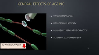 GENERAL EFFECTS OF AGEING
•
•
•
•
REPARATIVE CAPACITY
15
 