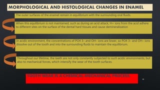 MORPHOLOGICAL AND HISTOLOGICAL CHANGES IN ENAMEL
The outer surfaces of the enamel remain in equilibrium with the surrounding oral fluids.
When this equilibrium is not maintained, such as during an acid attack, H+ ions from the acid adhere
to different sites on the surface of the dental hard tissues and cause demineralization
In acidic environment, the concentrations of PO4 3– and OH– ions are lower, so PO4 3– and OH– ions
dissolve out of the tooth and into the surrounding fluids to maintain the equilibrium.
Throughout our lifetime, the teeth are not only constantly subjected to such acidic environments, but
also to mechanical forces, which intensify the wear of the tooth surfaces.
TOOTH WEAR IS A CHEMICAL-MECHANICAL PROCESS.
26
 
