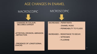 AGE CHANGES IN ENAMEL
- CHANGES IN COLOUR-
BECOMES DARKER
-ATTRITION, EROSION, ABRASION
, ABFRACTION
- PRESENCE OF LONGITUDINAL
CRACKS
DECREASED - PERIKYMATA
- ENAMEL RODS
- PERMEABILITY TO FLUIDS
INCREASED – RESISTANCE TO DECAY.
- NITROGEN
- FLUORINE
28
 