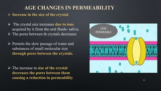 AGE CHANGES IN PERMEABILITY
LESS
PERMEABLE
31
 Increase in the size of the crystal.
 The crystal size increases due to ions
acquired by it from the oral fluids- saliva.
 The pores between th crystals decreases
 Permits the slow passage of water and
substances of small molecular size
through pores between the crystals.
 The increase in size of the crystal
decreases the pores between them
causing a reduction in permeability
 