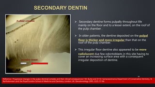SECONDARY DENTIN
 Secondary dentine forms pulpally throughout life
mainly on the floor and to a lesser extent, on the roof of
the pulp chamber .
 In older patients, the dentine deposited on the pulpal
floor is thicker and more irregular than that on the
roof of the pulp chamber.
 This irregular floor dentine also appeared to be more
radiolucent due few odontoblasts in this site having to
cover an increasing surface area with a consequent
irregular deposition of dentine.
59
Reference- Progressive changes in the pulpo-dentinal complex and their clinical consequences F.M. Burke and D.Y.D. Samarawickrama Department of Conservative Dentistry, St
Bartholomew's and the Royal Eondon School of Medicine and Dentistry, London, UK. Gerodontology 1995; 12(2): 57-66
 
