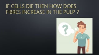 IF CELLS DIE THEN HOW DOES
FIBRES INCREASE IN THE PULP ?
67
 