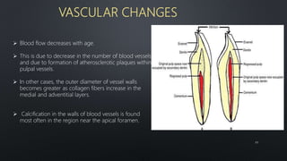 VASCULAR CHANGES
 Blood flow decreases with age.
 This is due to decrease in the number of blood vessels
and due to formation of atherosclerotic plaques within
pulpal vessels.
 In other cases, the outer diameter of vessel walls
becomes greater as collagen fibers increase in the
medial and adventitial layers.
 Calcification in the walls of blood vessels is found
most often in the region near the apical foramen.
69
 