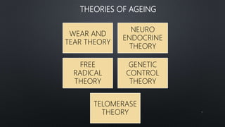 THEORIES OF AGEING
WEAR AND
TEAR THEORY
NEURO
ENDOCRINE
THEORY
FREE
RADICAL
THEORY
GENETIC
CONTROL
THEORY
TELOMERASE
THEORY 7
 