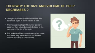 THEN WHY THE SIZE AND VOLUME OF PULP
DECREASES ?
 Collagen increase Is noted in the medial and
adventitial layers of blood vessels as well.
 The increase in collagen fibers may be more
apparent than actual, being attributable to the
decrease in the size of the pulp
 This makes the fibers present occupy less space,
and hence they become more concentrated
without increasing in total volume
71
 