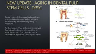 NEW UPDATE- AGING IN DENTAL PULP
STEM CELLS- DPSC
Dental pulp cells from aged individuals are
still metabolically active and secrete pro-
inflammatory and matrix-degrading
molecules.
Furthermore, mRNAs and exosomes derived
from dental pulp stem cells constitute an
attractive source of nanovesicles for the
treatment of age-related dental pathologies
77
REFERENCE- THE EFFECTS OF AGEING ON DENTAL PULP STEM CELLS, THE TOOTH LONGEVITY ELIXIR I. Iezzi1,2, P
. Pagella2 , M. Mattioli-
Belmonte1 , T.A. Mitsiadis2 *. European cells and volume-vol 27-2019
 