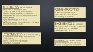 THICKNESS- the thickness of
cementum increases with age
Commonly seen in the apex of the root
reason- passive eruption occurring to
compensate the occlusal and proximal wear
due to attrition
Triples from the age 0f 10 to 70
WIDTH- increases- due to elimination of waste
products from cementum
CEMENTOCYTES-
Lowest proliferative stage
Gradually die due to reduced
accessibility to nutrition
HYERCEMENTOSIS- Abnormal thickening
of cementum which might be diffused or
circumscribed,
2 types- cementum hypertrophy
Cementum hyperplsia
EXCEMENTOSIS- Localized
hypercementosis observed in areas of
enamel drops that have been
developed over dentin.
CEMENTICLES- calcified bodies
present in the PDL and are also
referred to as coronal cementum
79
 