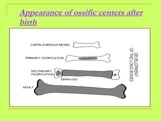 Appearance of ossific centers after birth 