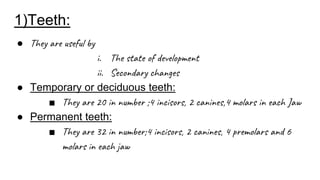 1)Teeth:
● They are useful by
i. The state of development
ii. Secondary changes
● Temporary or deciduous teeth:
■ They are 20 in number ;4 incisors, 2 canines,4 molars in each Jaw
● Permanent teeth:
■ They are 32 in number;4 incisors, 2 canines, 4 premolars and 6
molars in each jaw
 