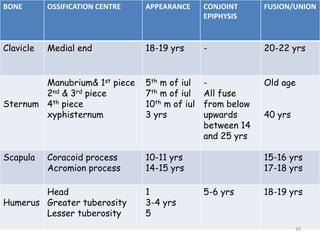 BONE OSSIFICATION CENTRE APPEARANCE CONJOINT
EPIPHYSIS
FUSION/UNION
Clavicle Medial end 18-19 yrs - 20-22 yrs
Sternum
Manubrium& 1st piece
2nd & 3rd piece
4th piece
xyphisternum
5th m of iul
7th m of iul
10th m of iul
3 yrs
-
All fuse
from below
upwards
between 14
and 25 yrs
Old age
40 yrs
Scapula Coracoid process
Acromion process
10-11 yrs
14-15 yrs
15-16 yrs
17-18 yrs
Humerus
Head
Greater tuberosity
Lesser tuberosity
1
3-4 yrs
5
5-6 yrs 18-19 yrs
20
 