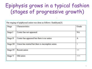 Epiphysis grows in a typical fashion
(stages of progressive growth)
6
 