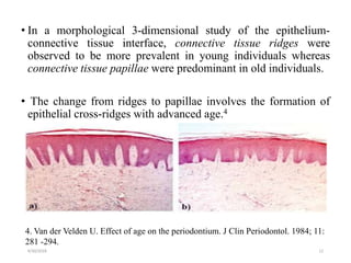 Tissue Ridges Ageing and the periodontium | PPTX