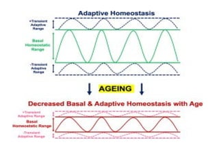 Physiology of Ageing – GERIATRIC PHYSIOLOGY.pptx