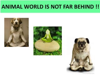 ANIMAL WORLD IS NOT FAR BEHIND !!
 