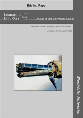 ElectricityNetworks
Briefing Paper
Gérard Platbrood, Blandine Hennuy - Laborelec
Available online March 2009
Ageing of Medium Voltage Cables
 