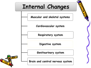 Internal Changes
Muscular and skeletal systems
Cardiovascular system
Respiratory system
Digestive system
Genitourinary system
Brain and central nervous system
 