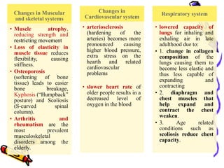Changes in Muscular
and skeletal systems
• Muscle atrophy,
reducing strength and
restricting movement
• Loss of elasticity in
muscle tissue reduces
flexibility, causing
stiffness.
• Osteoporosis
(softening of bone
tissue) leads to easier
bone breakage,
Kyphosis (“Humpback”
posture) and Scoliosis
(S-curved spinal
column).
• Arthritis and
rheumatism are the
most prevalent
musculoskeletal
disorders among the
elderly.
Changes in
Cardiovascular system
• arteriosclerosis
(hardening of the
arteries) becomes more
pronounced causing
higher blood pressure,
extra stress on the
hearth and related
cardiovascular
problems
• slower heart rate of
older people results in a
decreased level of
oxygen in the blood
Respiratory system
• lowered capacity of
lungs for inhaling and
exhaling air in late
adulthood due to:
• 1. change in collagen
composition of the
lungs causing them to
become less elastic and
thus less capable of
expanding and
contracting
• 2. diaphragm and
chest muscles that
help expand and
contract the chest
weaken.
• 3. Age related
conditions such as
scoliosis reduce chest
capacity.
 