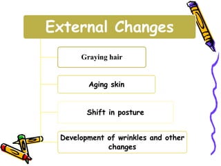 External Changes
Graying hair
Aging skin
Shift in posture
Development of wrinkles and other
changes
 