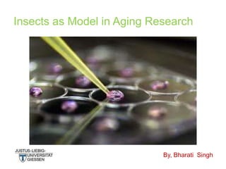 Insects as Model in Aging Research

By, Bharati Singh

 
