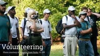 Volunteering
Photo courtesy of Virginia State Parks. CC-BY
 