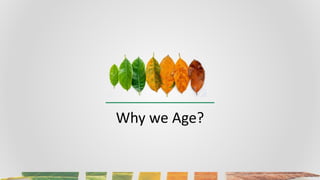 Why we Age?
 