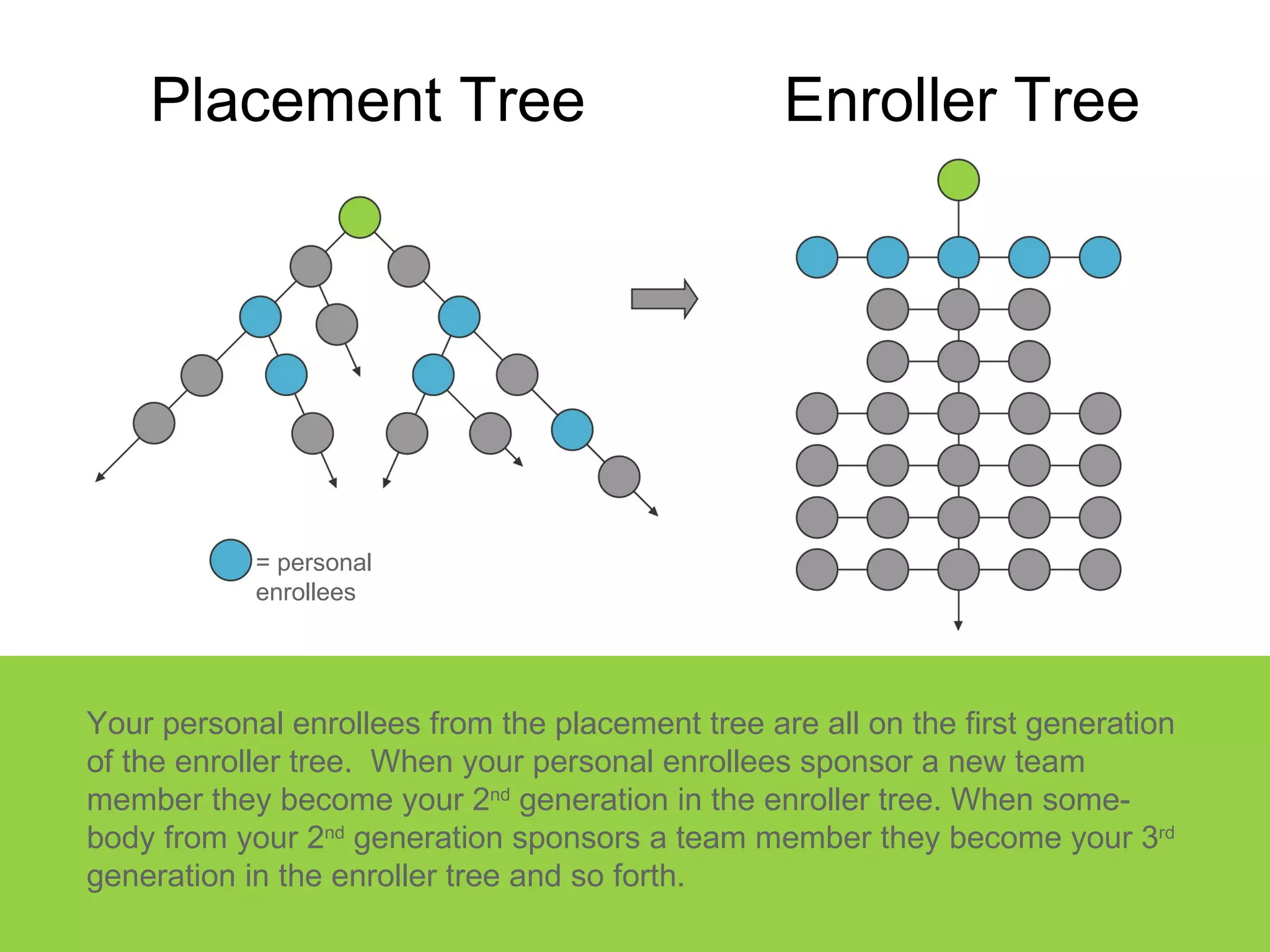Placement Tree Your personal enrollees from the placement tree are all on the first generation of the enroller tree.  When your personal enrollees sponsor a new team member they become your 2 nd  generation in the enroller tree. When some-body from your 2 nd  generation sponsors a team member they become your 3 rd  generation in the enroller tree and so forth. = personal enrollees Enroller Tree 
