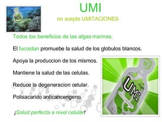 UMI no acepte UMITACIONES Todos los beneficios de las algas marinas. El  fucoidan  promuebe la salud de los globulos blancos. Apoya la produccion de los mismos. Mantiene la salud de las celulas. Reduce la degeneracion celular. Polisacarido anticancerigeno. ¡ Salud perfecta a nivel celular ! 