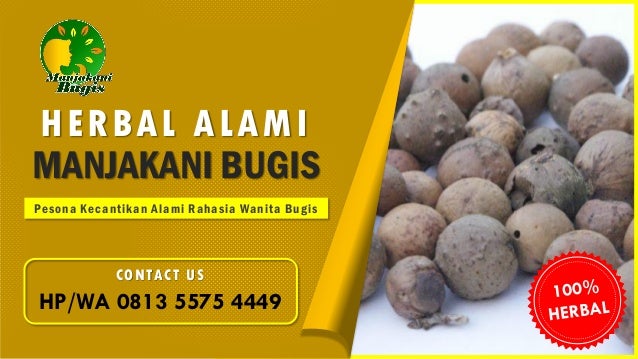 Hp Wa 0813 5575 4449 Agen Herbal Manjakani Bugis Makassar