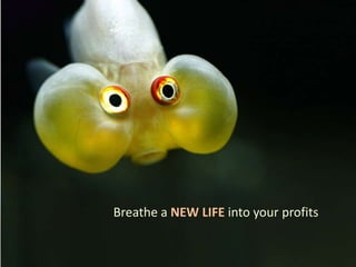 Breathe a NEW LIFE into your profits 