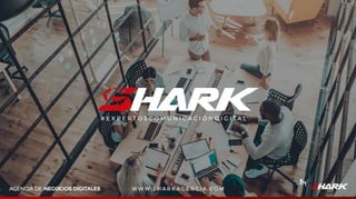 Agencia Marketing Digital Shark