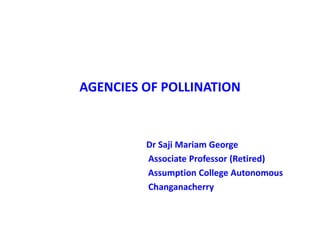 AGENCIES OF POLLINATION
Dr Saji Mariam George
Associate Professor (Retired)
Assumption College Autonomous
Changanacherry
 