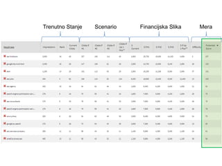 ScenarioTrenutno Stanje Financijska Slika Mera
 
