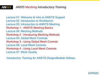 ANSYS CFD FEA Training Agenda | PPTX