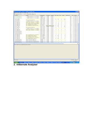 2. nhIbernate Analyiser
 