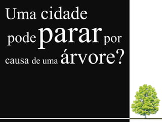 Uma cidade
pode   parar por
causa de uma   árvore?
 