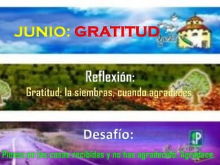 JUNIO: GRATITUD
Desafío:
 