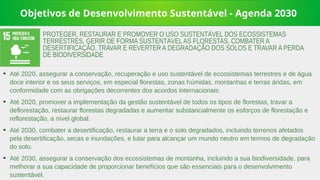 Objetivos de Desenvolvimento Sustentável - Agenda 2030
➔
Até 2020, assegurar a conservação, recuperação e uso sustentável de ecossistemas terrestres e de água
doce interior e os seus serviços, em especial florestas, zonas húmidas, montanhas e terras áridas, em
conformidade com as obrigações decorrentes dos acordos internacionais.
➔
Até 2020, promover a implementação da gestão sustentável de todos os tipos de florestas, travar a
deflorestação, restaurar florestas degradadas e aumentar substancialmente os esforços de florestação e
reflorestação, a nível global.
➔
Até 2030, combater a desertificação, restaurar a terra e o solo degradados, incluindo terrenos afetados
pela desertificação, secas e inundações, e lutar para alcançar um mundo neutro em termos de degradação
do solo.
➔
Até 2030, assegurar a conservação dos ecossistemas de montanha, incluindo a sua biodiversidade, para
melhorar a sua capacidade de proporcionar benefícios que são essenciais para o desenvolvimento
sustentável.
PROTEGER, RESTAURAR E PROMOVER O USO SUSTENTÁVEL DOS ECOSSISTEMAS
TERRESTRES, GERIR DE FORMA SUSTENTÁVELAS FLORESTAS, COMBATER A
DESERTIFICAÇÃO, TRAVAR E REVERTER A DEGRADAÇÃO DOS SOLOS E TRAVAR A PERDA
DE BIODIVERSIDADE
 