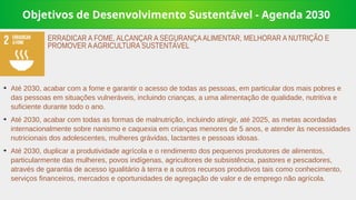 Objetivos de Desenvolvimento Sustentável - Agenda 2030
➔
Até 2030, acabar com a fome e garantir o acesso de todas as pessoas, em particular dos mais pobres e
das pessoas em situações vulneráveis, incluindo crianças, a uma alimentação de qualidade, nutritiva e
suficiente durante todo o ano.
➔
Até 2030, acabar com todas as formas de malnutrição, incluindo atingir, até 2025, as metas acordadas
internacionalmente sobre nanismo e caquexia em crianças menores de 5 anos, e atender às necessidades
nutricionais dos adolescentes, mulheres grávidas, lactantes e pessoas idosas.
➔
Até 2030, duplicar a produtividade agrícola e o rendimento dos pequenos produtores de alimentos,
particularmente das mulheres, povos indígenas, agricultores de subsistência, pastores e pescadores,
através de garantia de acesso igualitário à terra e a outros recursos produtivos tais como conhecimento,
serviços financeiros, mercados e oportunidades de agregação de valor e de emprego não agrícola.
ERRADICAR A FOME, ALCANÇAR A SEGURANÇAALIMENTAR, MELHORAR A NUTRIÇÃO E
PROMOVER AAGRICULTURA SUSTENTÁVEL
 