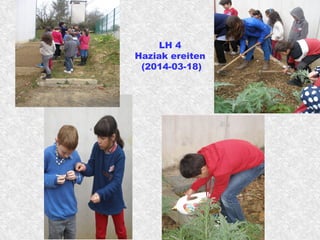 LH 4
Haziak ereiten
(2014-03-18)
 