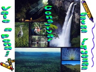 Vale a pena... Conservar estas riquezas