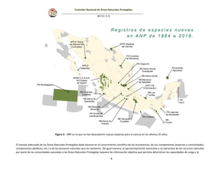 Agenda Cientifica CONANP 2020.pdf