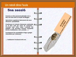 Proporcionar, dissenyar, crear, elaborar aplicacions i recursos  educatius. 