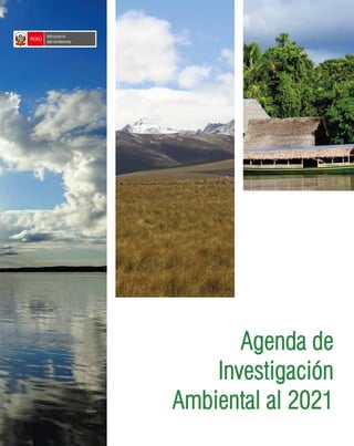Agenda de
Investigación
Ambiental al 2021
Agenda de
Investigación
Ambiental al 2021
PERÚ
Ministerio
Ambiente
del
 