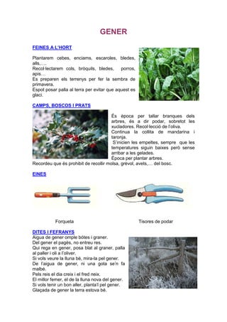 GENER
FEINES A L’HORT

Plantarem cebes, enciams, escaroles, bledes,
alls,….
Recol·lectarem cols, bròquils, bledes,      porros,
apis…
Es preparen els terrenys per fer la sembra de
primavera.
Espot posar palla al terra per evitar que aquest es
glaci.

CAMPS, BOSCOS I PRATS

                                       És època per tallar branques dels
                                       arbres, és a dir podar, sobretot les
                                       xucladores. Recol·lecció de l’oliva.
                                       Continua la collita de mandarina i
                                       taronja.
                                        S’inicien les empeltes, sempre que les
                                       temperatures siguin baixes però sense
                                       arribar a les gelades.
                                       Època per plantar arbres.
Recordeu que és prohibit de recollir molsa, grèvol, avets,… del bosc.

EINES




           Forqueta                                   Tisores de podar

DITES I FEFRANYS
Aigua de gener omple bótes i graner.
Del gener el pagès, no entreu res.
Qui rega en gener, posa blat al graner, palla
al paller i oli a l’oliver.
Si vols veure la lluna bé, mira-la pel gener.
De l’aigua de gener, ni una gota se’n fa
malbé.
Pels reis el dia creix i el fred neix.
El millor femer, el de la lluna nova del gener.
Si vols tenir un bon aller, planta’l pel gener.
Glaçada de gener la terra estova bé.
 
