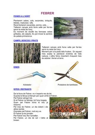 FEBRER
FEINES A L’HORT

Plantarem cebes, cols, escaroles, bròquils,
bledes, maduixes i alls.
Recol·lectarem escaroles, porros, cols,…
Tallarem canyes amb lluna vella per fer-les
servir la resta de l’any.
És moment de recollir les famoses cebes
grillades, els calçots. Es pot iniciar la sembra
de patata primerenca.

CAMPS, BOSCOS I PRATS


                                   Tallarem canyes amb lluna vella per fer-les
                                   servir la resta de l’any.
                                   Moment per a la poda dels fruiters. En aquest
                                   mes acaba la plantació d’arbres de fulla
                                   caduca. L’altra feina important d’aquest mes
                                   és adobar i femar el terra.



EINES




           Aclotador                                     Podadora de bardisses

DITES I REFRANYS

De la lluna de Febrer, no n’esperis res de bé.
Guarda la llenya al llenyer per quan arribi el Febrer.
Pel Febrer abriga’t bé.
Si el Febrer no febreja, tot l’any bogeja.
Quan pel Febrer trona la neu ja
ressona.
Pel mes de Febrer, un dia dolent i els
altres també.
Orenetes pel Febrer, mal any ve.
El Febrer ja és jornaler.
Pel Febrer treu flor l’ametller.
Pel Febrer, un dia de sol i l’altre al
braser.
 