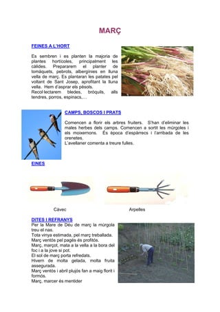 MARÇ
FEINES A L’HORT

Es sembren i es planten la majoria de
plantes hortícoles, principalment les
càlides. Prepararem el planter de
tomàquets, pebrots, albergínies en lluna
vella de març. Es plantaran les patates pel
voltant de Sant Josep, aprofitant la lluna
vella. Hem d’asprar els pèsols.
Recol·lectarem bledes, bròquils, alls
tendres, porros, espinacs,…


                  CAMPS, BOSCOS I PRATS

                  Comencen a florir els arbres fruiters. S’han d’eliminar les
                  males herbes dels camps. Comencen a sortit les múrgoles i
                  els moixernons. És època d’espàrrecs i l’arribada de les
                  orenetes.
                  L’avellaner comenta a treure fulles.



EINES




            Càvec                                Arpelles

DITES I REFRANYS
Per la Mare de Déu de març la múrgola
treu el nas.
Tota vinya estimada, pel març treballada.
Març ventós pel pagès és profitós.
Març, marçot, mata a la vella a la bora del
foc i a la jove si pot.
El sol de març porta refredats.
Hivern de molta gelada, molta fruita
assegurada.
Març ventós i abril plujós fan a maig florit i
formós.
Març, marcer és mentider
 